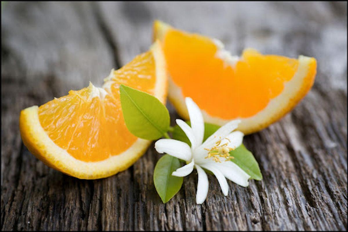 برگ پرتقال را اصلا دور نریزید! | خواص جادویی جوشانده برگ پرتقال که نمی‌دانستید