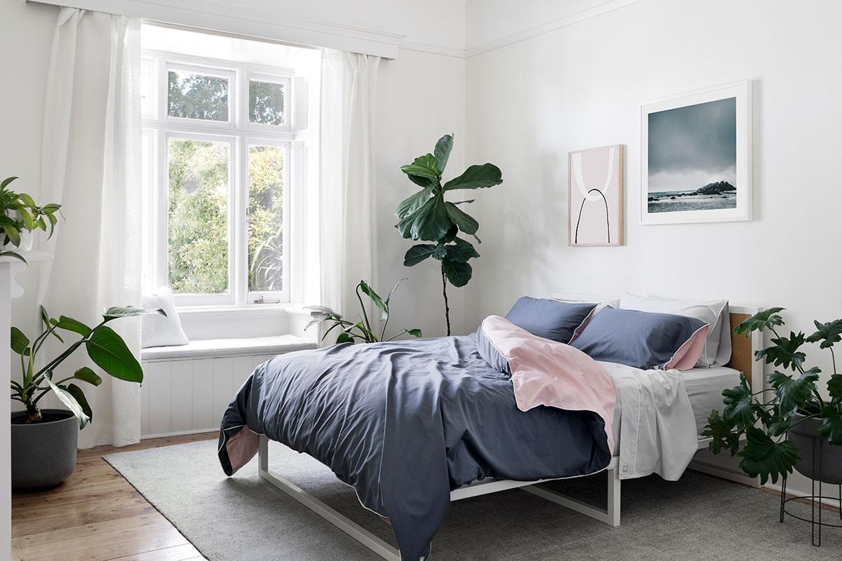 گیاهان آپارتمانی مناسب اتاق خواب | این گلدونا رو بذار توی اتاق خوابت تا راحت و آروم بخوابی
